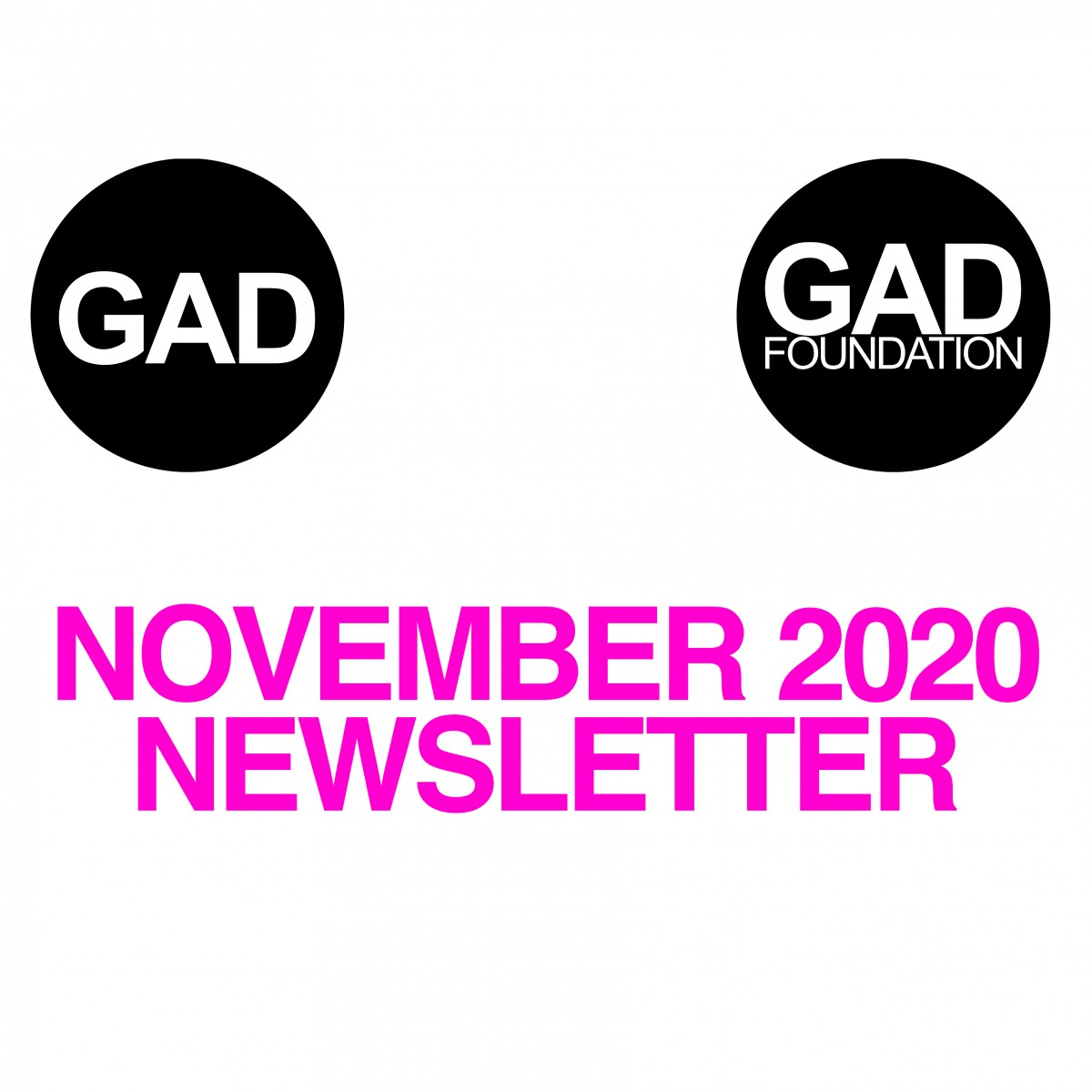 Kasım 2020 Newsletter
